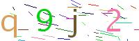 Verify Code