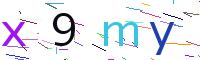 Verify Code