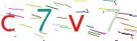 Verify Code