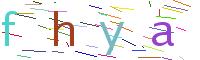 Verify Code
