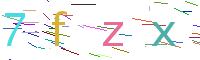 Verify Code