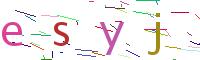 Verify Code